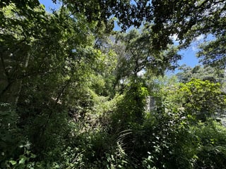 EL ENCINAL / Terreno en venta - 3