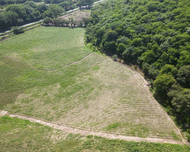 Terreno en venta, en El Progreso