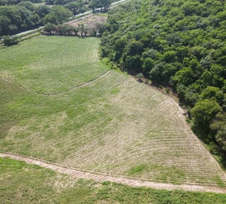 Terreno en venta, en El Progreso
