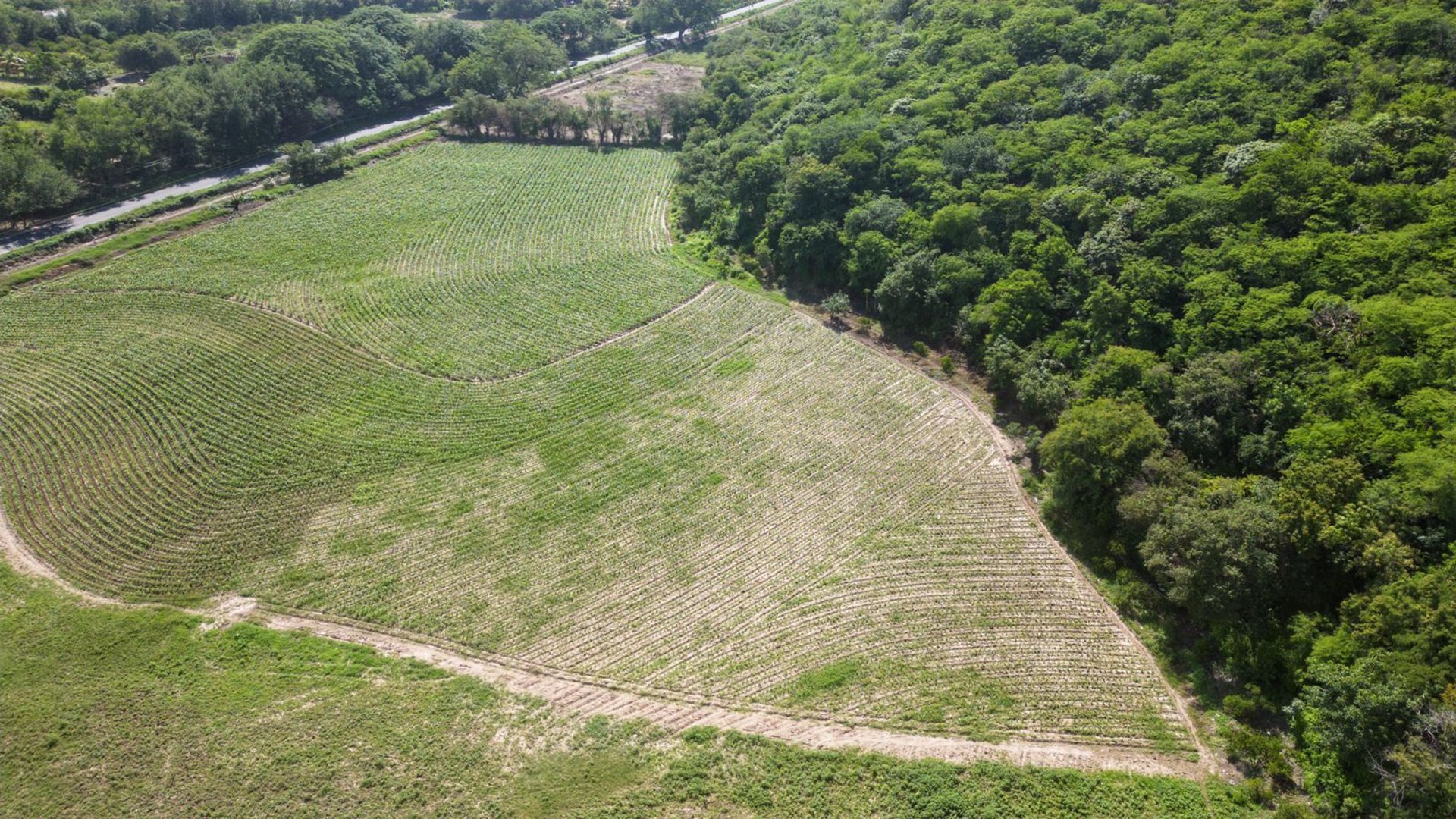Terreno en venta, en El Progreso