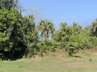 Terreno en VENTA en las Lisas Chiquimulilla - 4