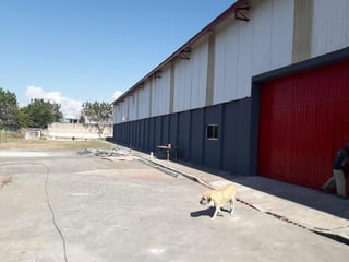 Terreno y Bodega en venta Puerto de Chiapas, frontera Guatemala - 3