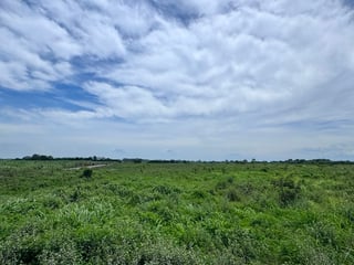 📍 TERRENOS INDUSTRIALES EN VENTA –16,762.82 | KM. 98 | PTO. SAN JOSE - 3