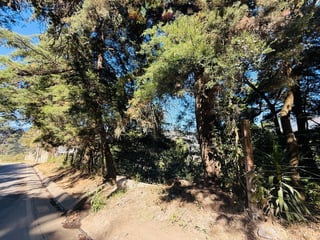 VENTA DE AMPLIO TERRENO - EL HATO, ANTIGUA GUATEMALA - 4