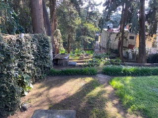 PROPIEDAD EN VENTA / RENTA EN SAN LUCAS - 4