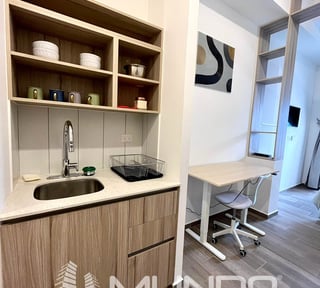 APARTAMENTO AMUEBLADO TIPO ESTUDIO EN RENTA, ZONA 13