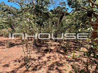 TERRENO EN VENTA EN SANTA ELENA BARILLAS - Image 7