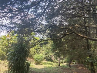 Terreno en venta Santa Elena Barillas Guatemala - Image 11