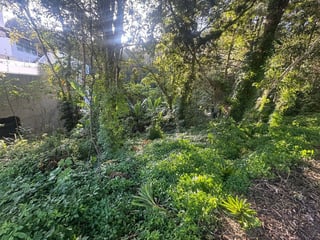 TERRENO EN VENTA EN SANTA ROSALIA - 3