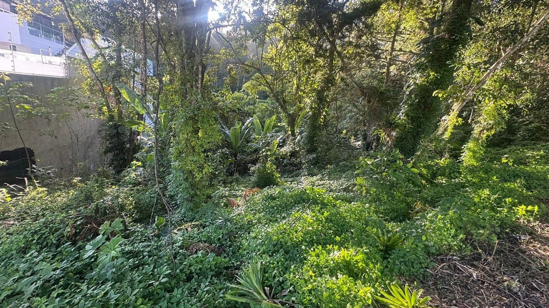 TERRENO EN VENTA EN SANTA ROSALIA - Miniatura 3