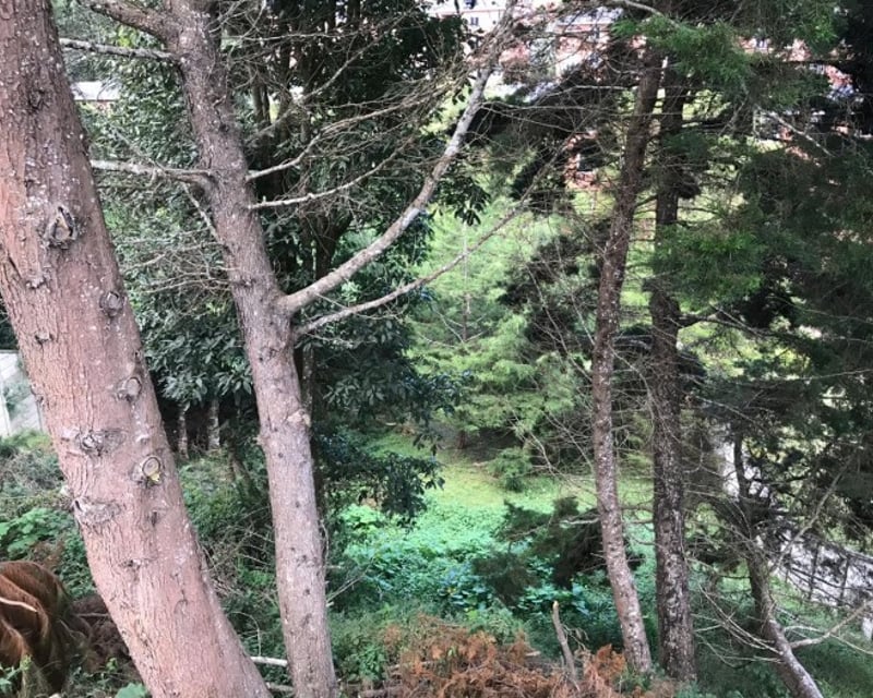 Terreno en Venta Bosques de las Luces