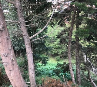 Terreno en Venta Bosques de las Luces