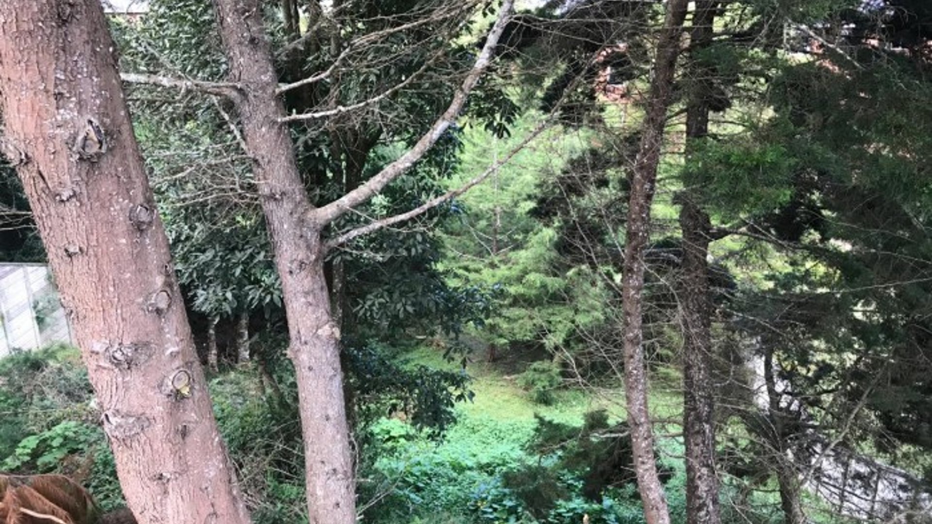 Terreno en Venta Bosques de las Luces