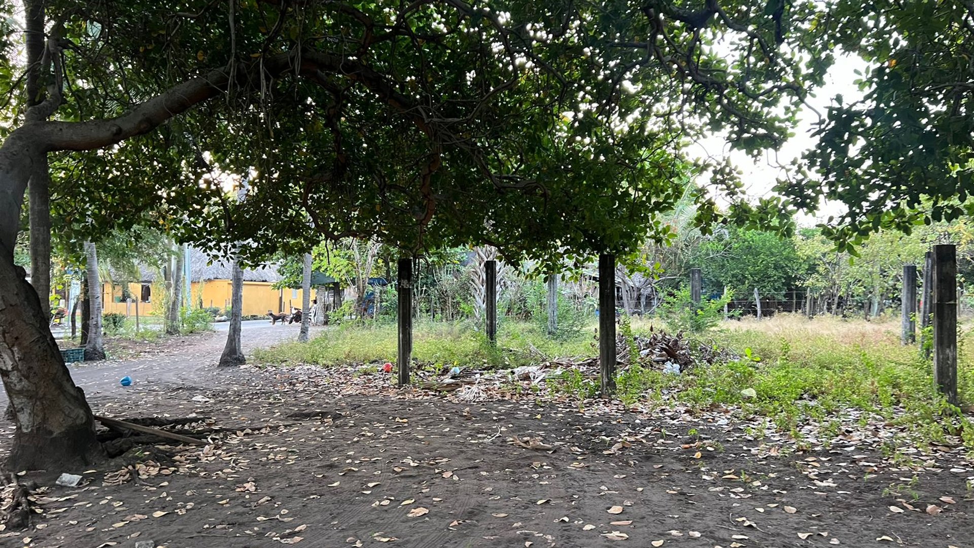 VENTA DE AMPLIO TERRENO A POCOS METROS DE LA PLAYA - MONTERRICO - Miniatura 5