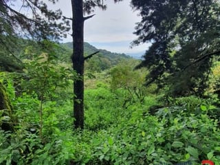 Terreno en Venta, Carretera a El Salvador (V9932) - 3