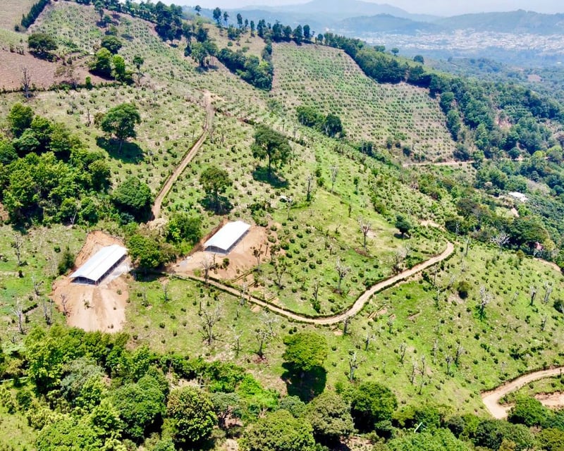 VENTA DE ESPECTACULAR FINCA EN PRODUCCIÓN - SAN VICENTE PACAYA
