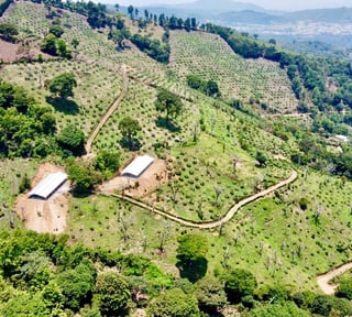 VENTA DE ESPECTACULAR FINCA EN PRODUCCIÓN - SAN VICENTE PACAYA