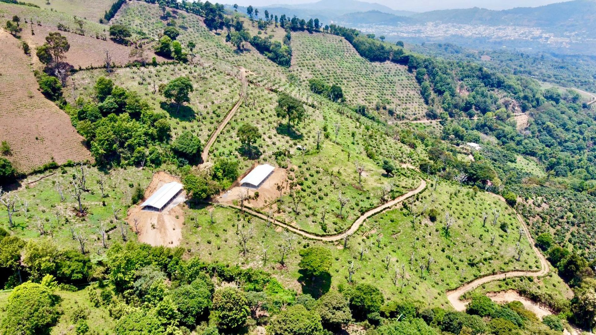 VENTA DE ESPECTACULAR FINCA EN PRODUCCIÓN - SAN VICENTE PACAYA