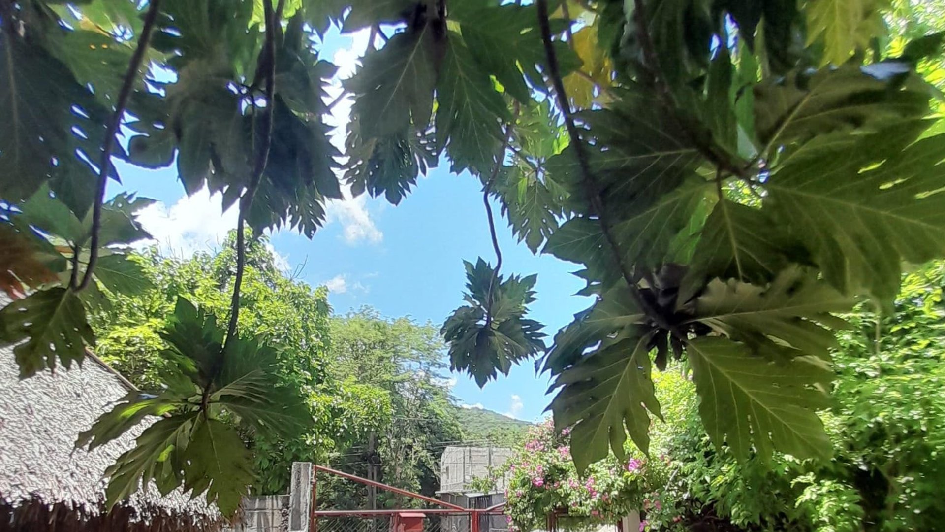 CASA EN VENTA EN ALDEA ENCINITOS, GUALAN ZACAPA - Miniatura 18