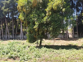 Terreno en venta, CES km 22.8 - 3