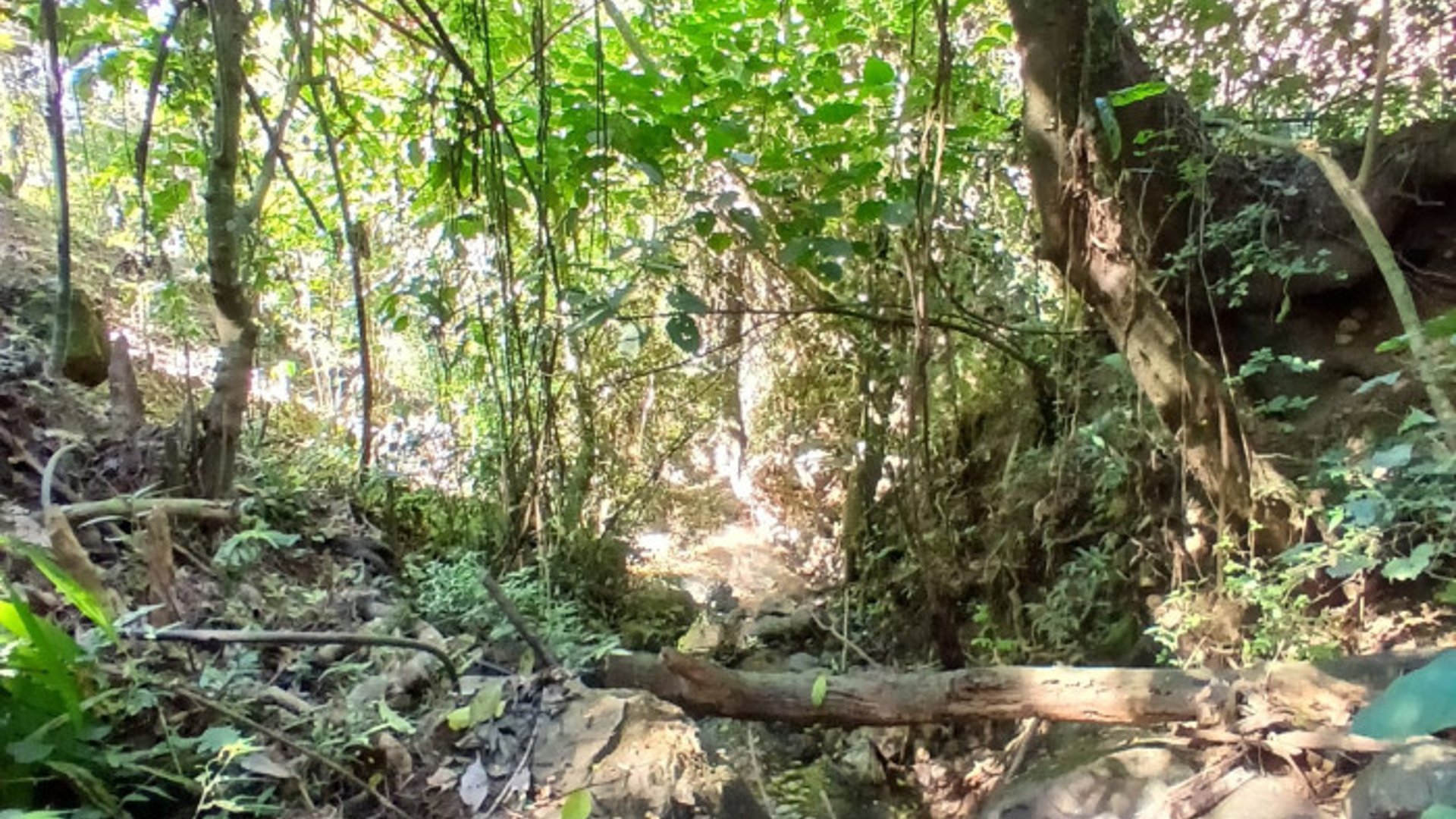 Finca en Venta en Fraijanes, Guatemala | Km 16-30 - Miniatura 4