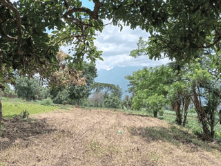 Terreno en venta, Ciudad Vieja - 2