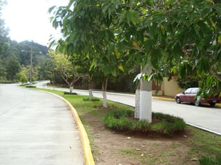 VentaTerreno en Las Cumbres Zona 16 Guatemala - 2