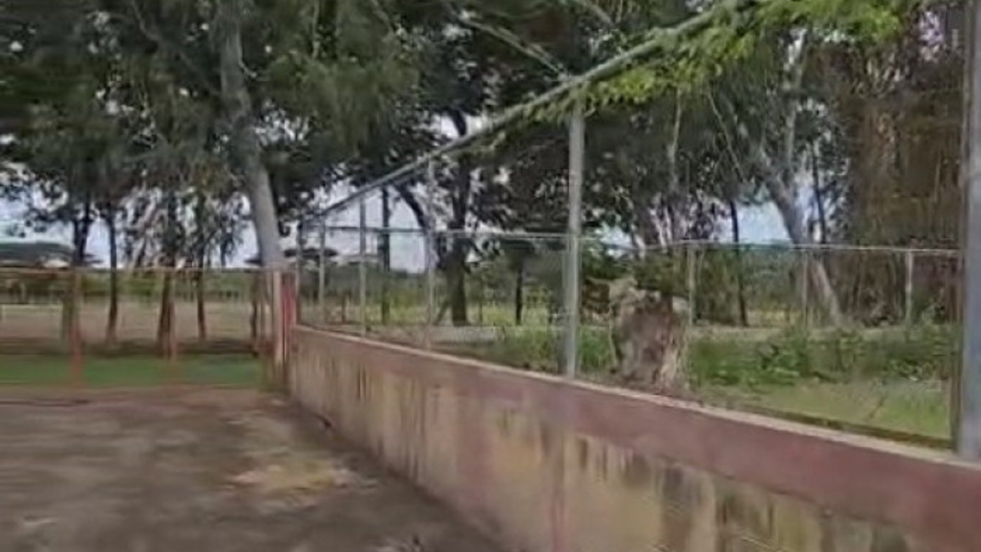 Terreno en Venta La Gomera, Escuintla, Guatemala OCRET - Miniatura 4