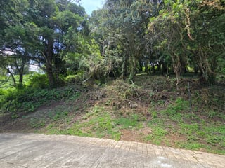 Terreno Grande en Venta en Condominio Exclusivo Colinas de Castel‼️ - 2