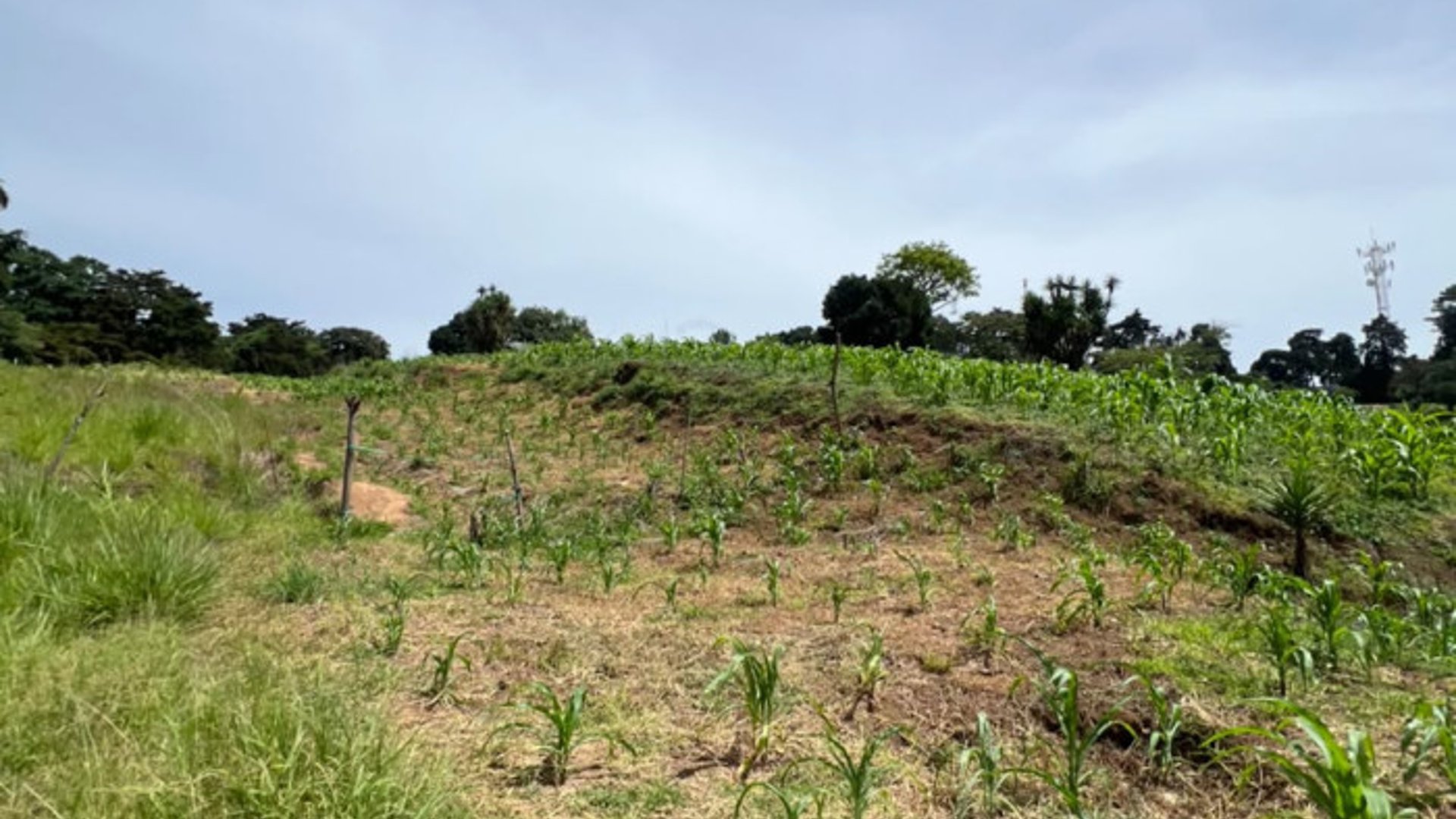 Terreno 12 Manzanas en Venta Carretera a El Salvador - Miniatura 19
