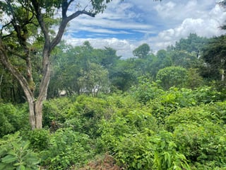 Venta de terreno en Altos de San Vicente | Carretera a El Salvador - 5
