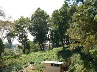 TERRENO en Fraijanes PARA VENTA, Carretera El Salvador - 2
