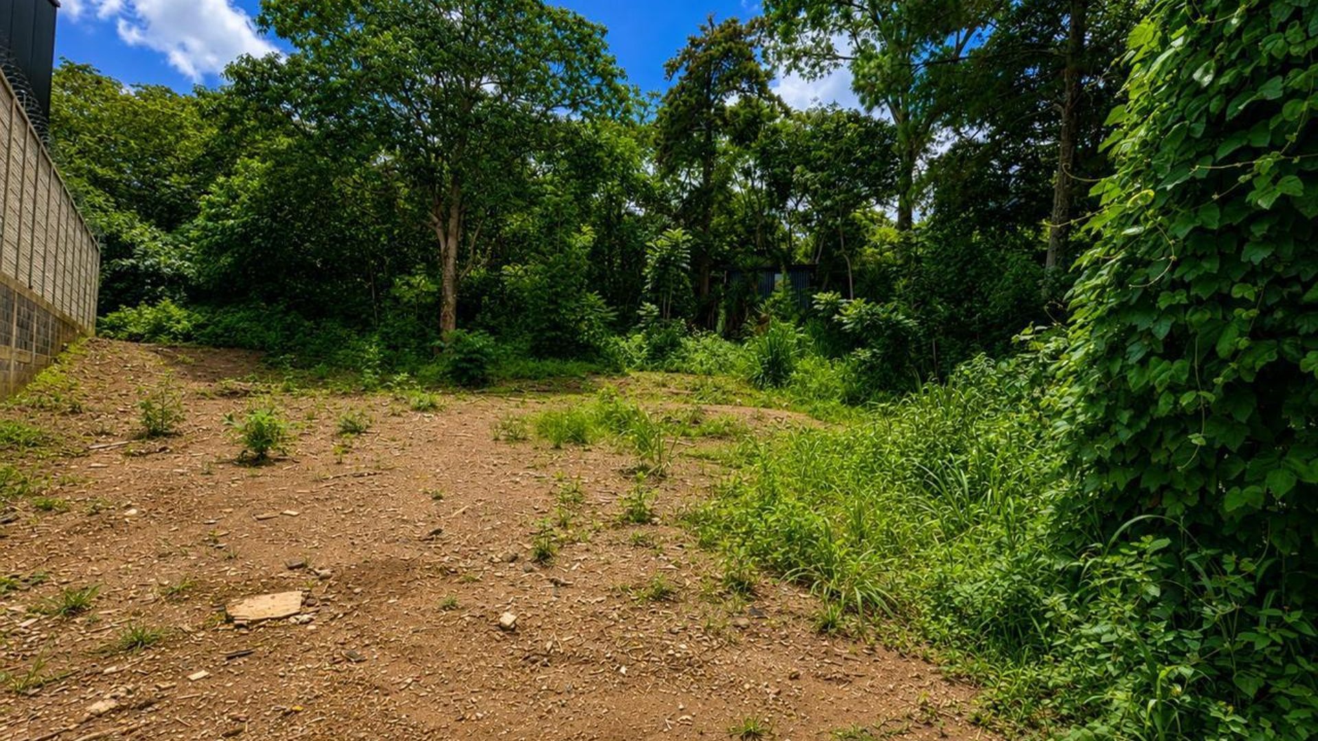 VENTA DE AMPLIO TERRENO - LAGUNA DEL PINO, BARBERENA - Miniatura 7