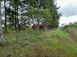 Terreno en venta, en Carretera al salvador - 2