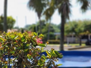 Terrenos en Venta Lagunas de Torremolinos II - 5