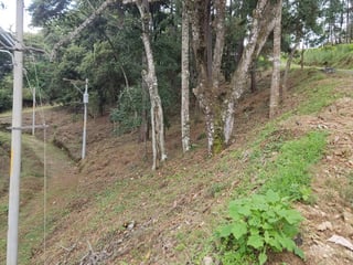 Terreno en venta, Condominio campestre los horizontes - 2