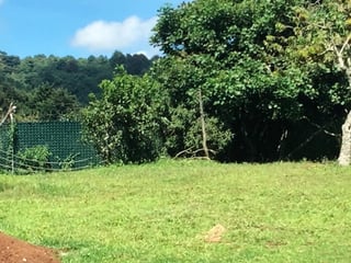 Granja en venta, Santa Catarina Pinula  - 5