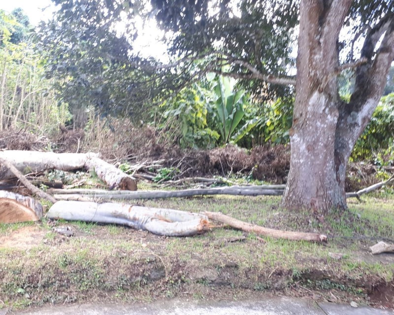 TERRENO EN VENTA EN STA ROSALIA LA LAGUNA