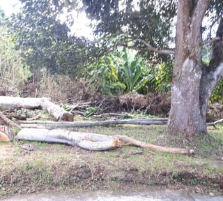 TERRENO EN VENTA EN STA ROSALIA LA LAGUNA