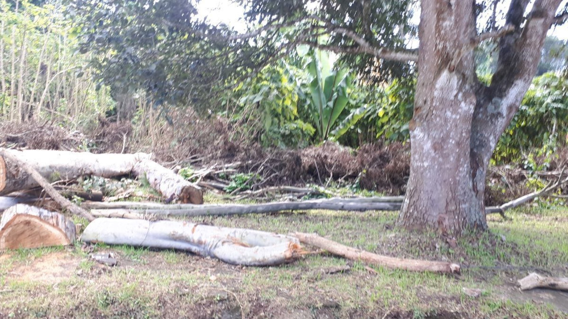 TERRENO EN VENTA EN STA ROSALIA LA LAGUNA