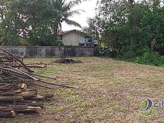 Terreno En venta Cercano Aeropuerto de Izabal - 4