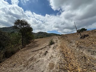 SAN PEDRO AYAMPUC/ FINCA EN VENTA PARA DESARROLLO - 4