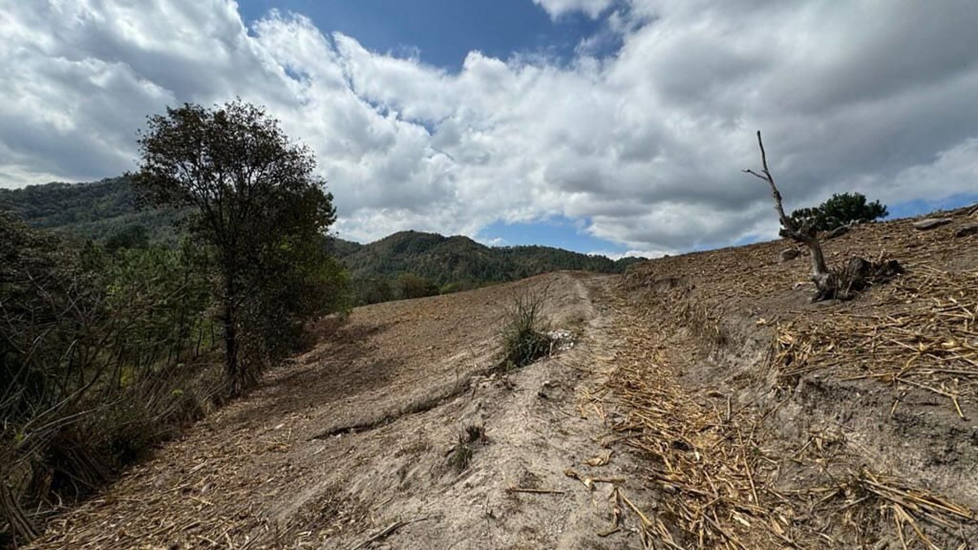 SAN PEDRO AYAMPUC/ FINCA EN VENTA PARA DESARROLLO - Miniatura 4