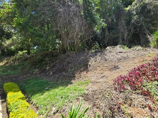 Terreno Grande en Venta en Condominio Exclusivo Colinas de Castel‼️ - 4