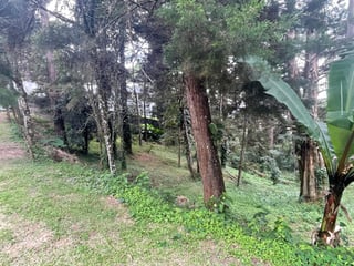 Terreno en venta, Lomas del Bosque carretera a El Salvador - 2