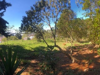Terreno en Venta Carretera a El Salvador Km 16.5 Aldea El Pajón Vista al Suroest - 3
