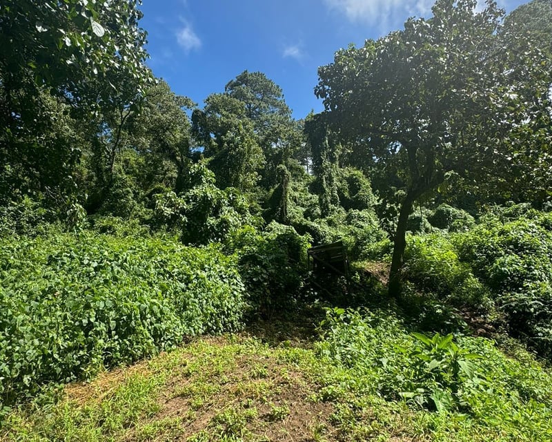 Terreno en venta zona 16, área de vistas de san Isidro