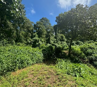 Terreno en venta zona 16, área de vistas de san Isidro