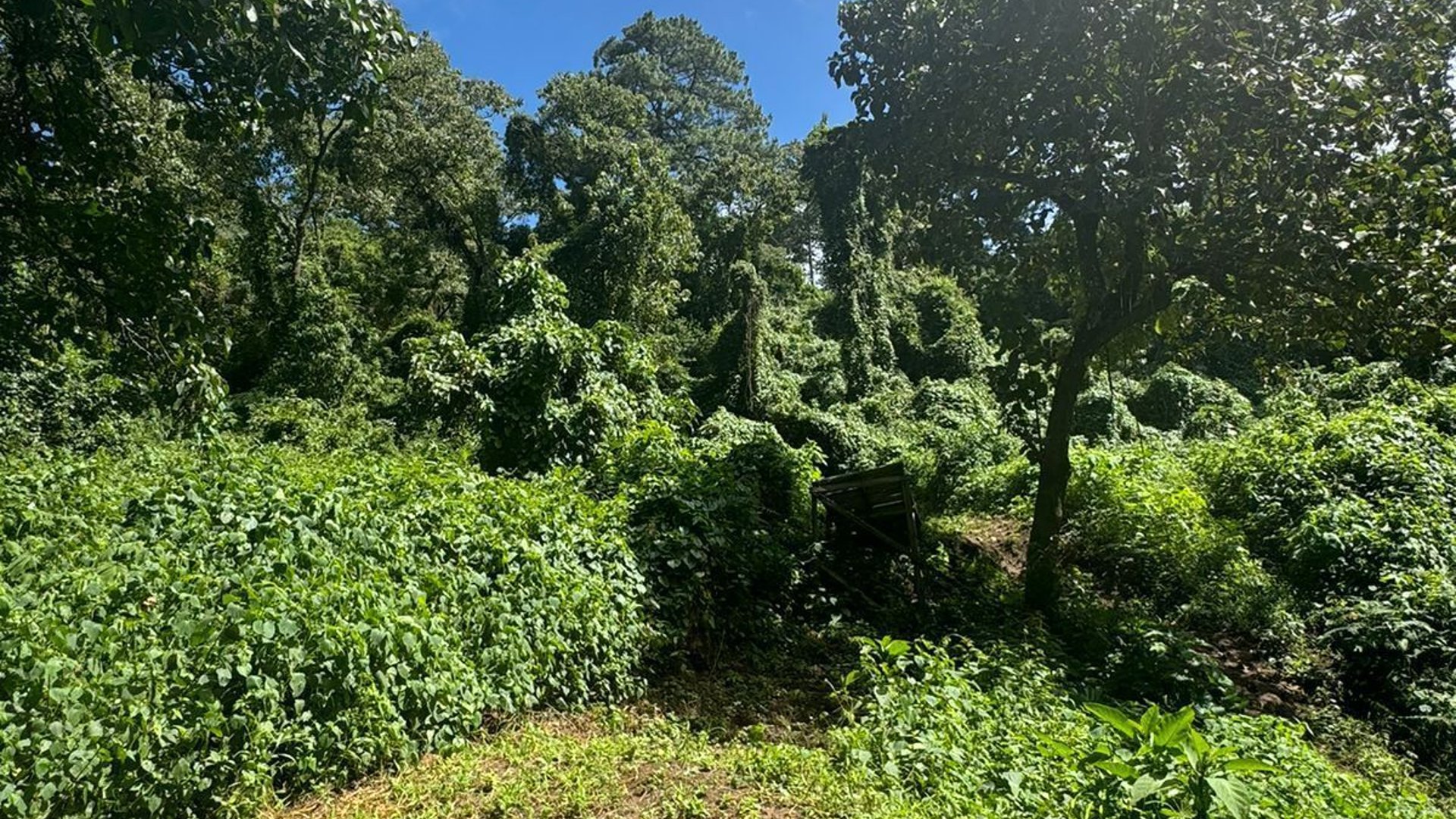 Terreno en venta zona 16, área de vistas de san Isidro