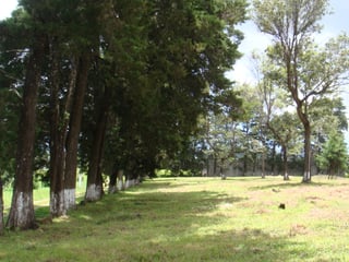 VENDO TERRENO URBANIZADO  EN KM. 30.2 CARRETERA A SANTA ELENA BARILLAS - 3